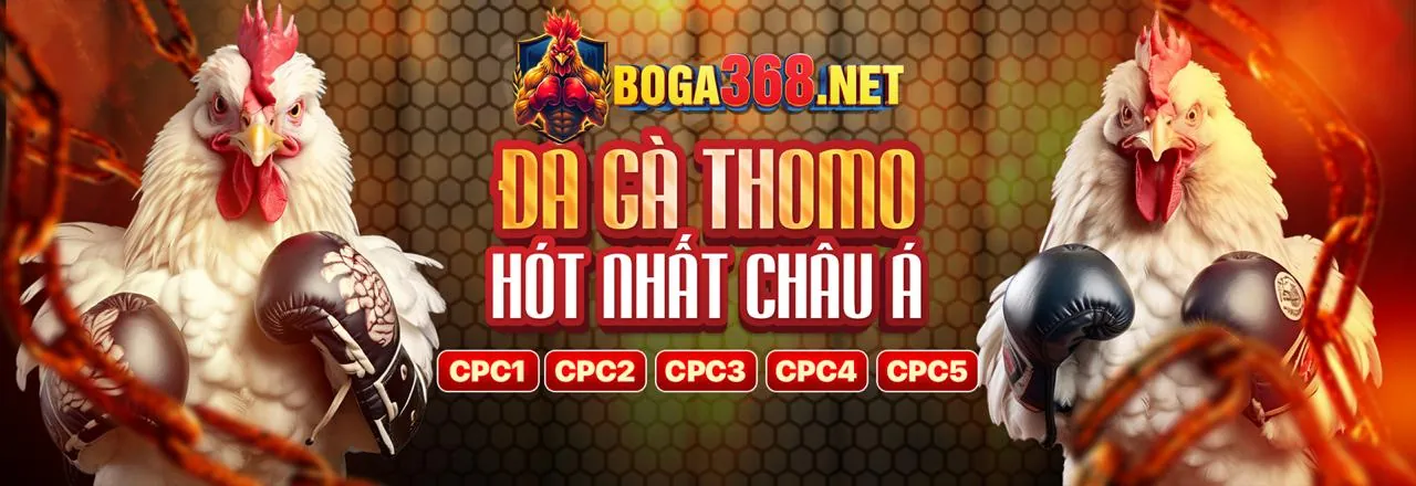 Đá gà trực tuyến kịch tính tại king288 nhà cái